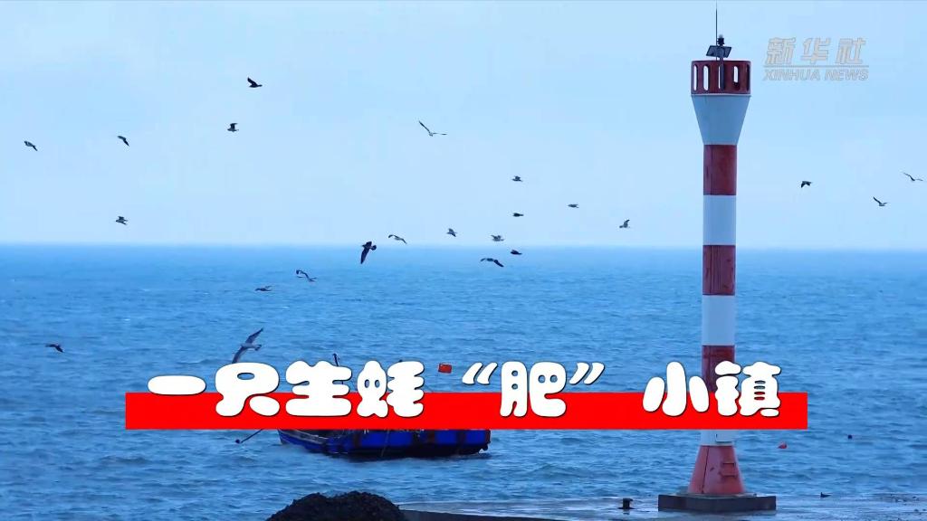 奋进新征程 建功新时代·大美边疆｜一只生蚝“肥”小镇